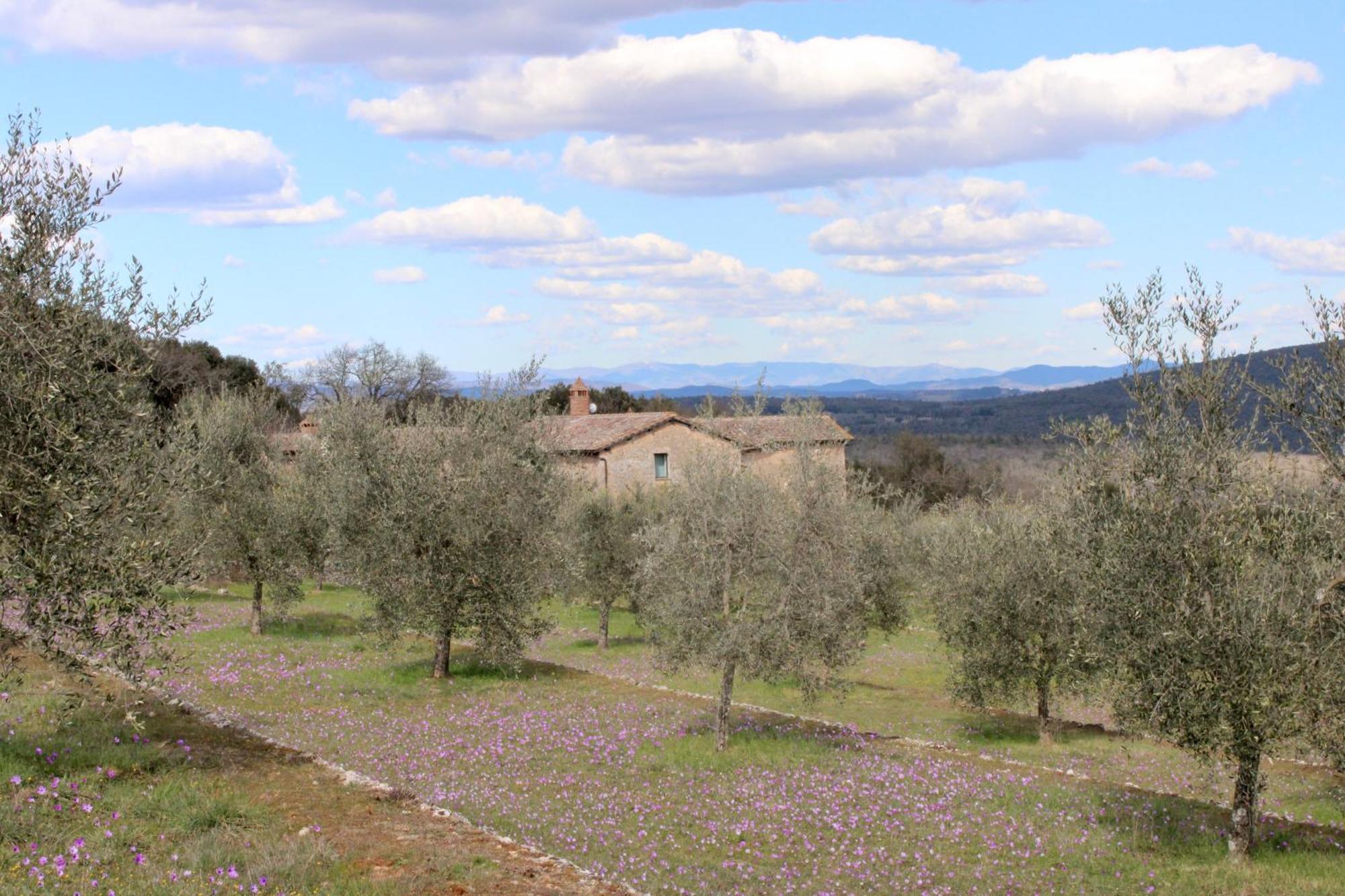 Villa Agriturismo Il Caggio Sovicille Exterior foto