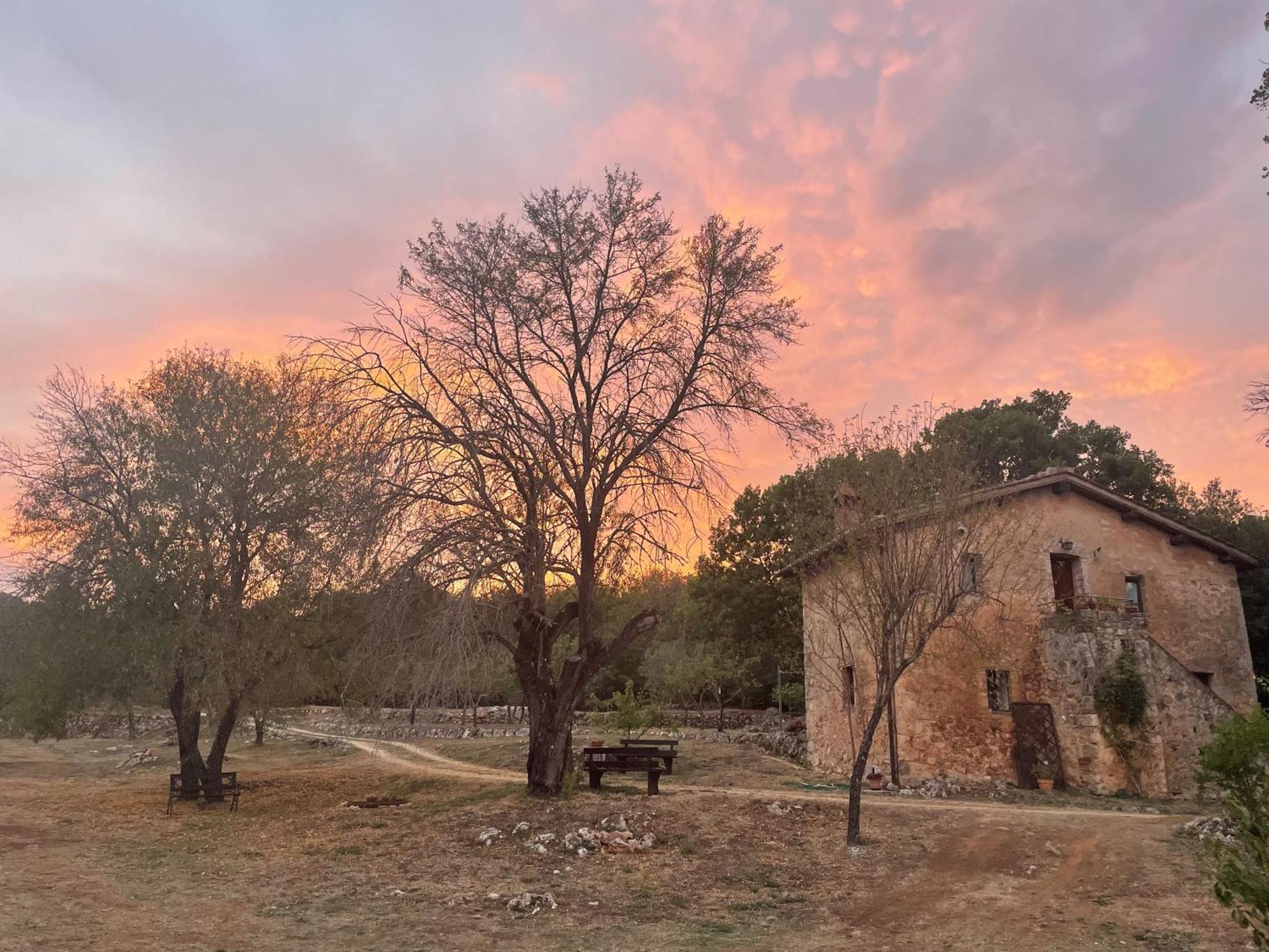 Villa Agriturismo Il Caggio Sovicille Exterior foto